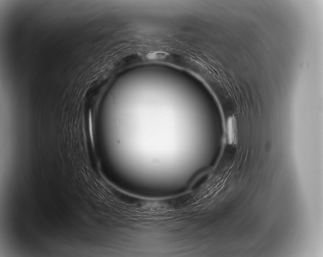 X0000097861443200803211245