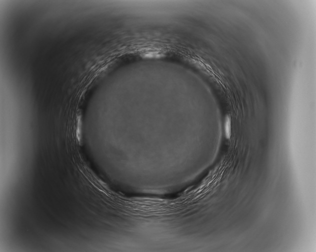 X0000097861444200803211245