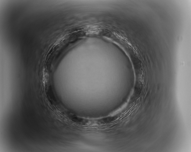 X0000097861445200803211245