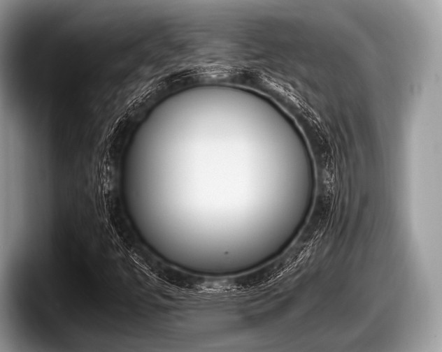 X0000097861447200803211245