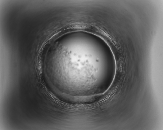 X0000097861448200803211245