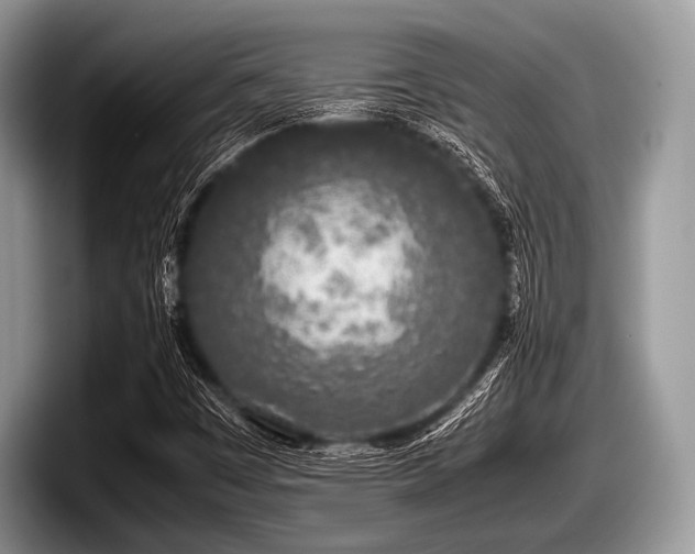 X0000097861449200803211245