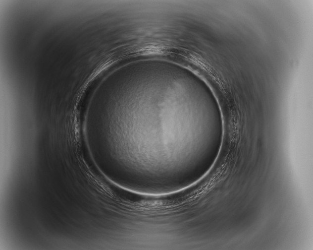 X0000097861450200803211245