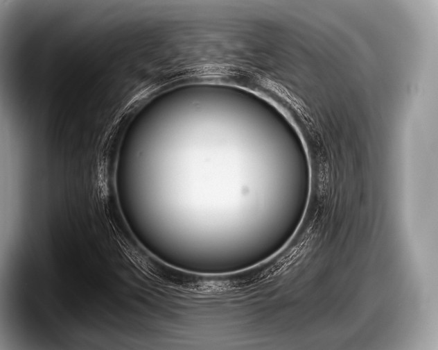 X0000097861451200803211245