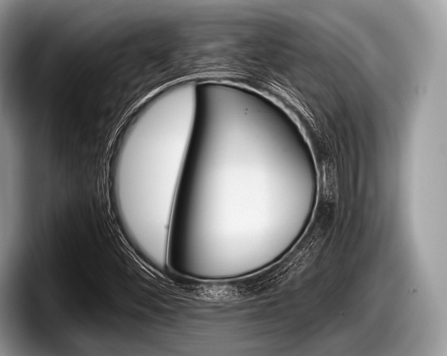 X0000097861452200803211245