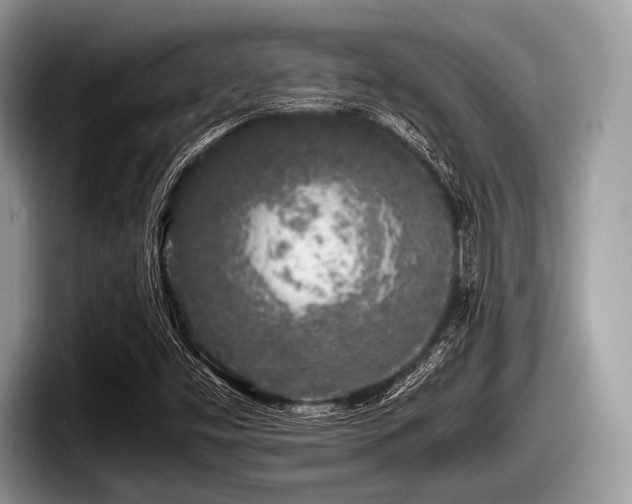 X0000097861453200803211245