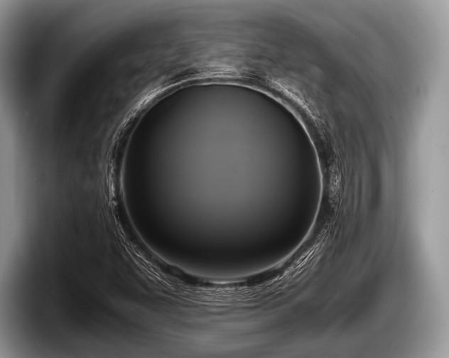 X0000097861455200803211245