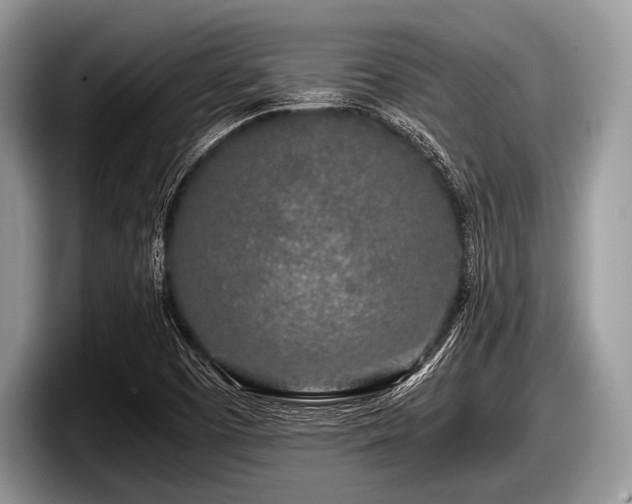 X0000097861457200803211245