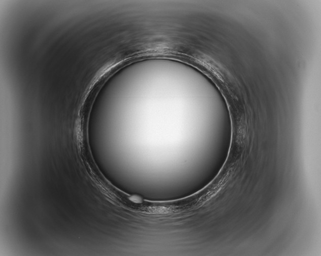 X0000097861458200803211245