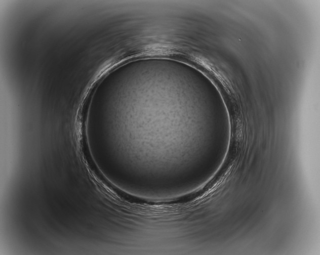 X0000097861459200803211244