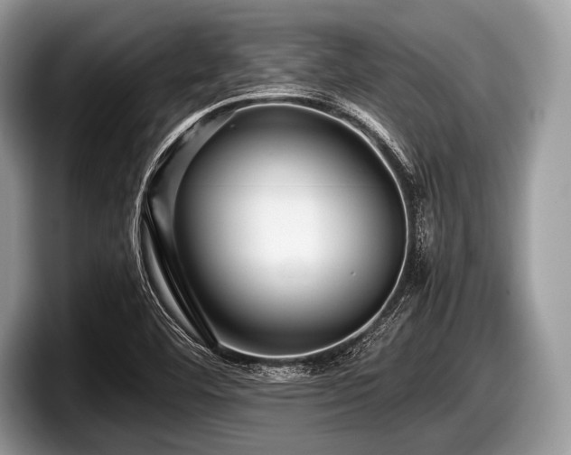 X0000097861460200803211244