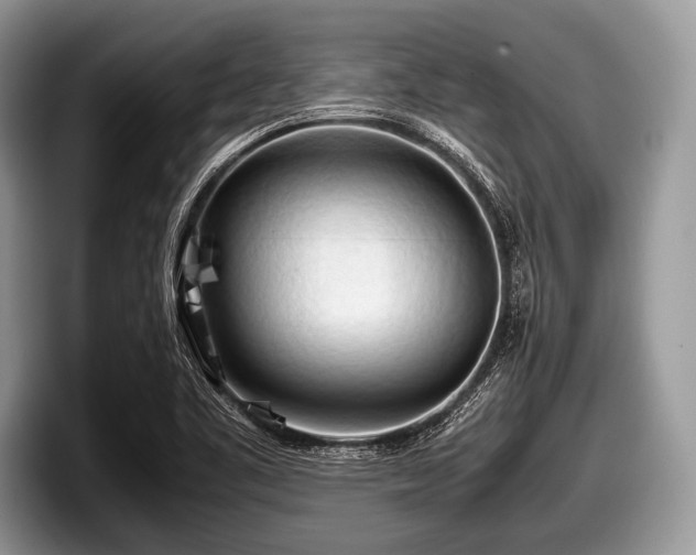 X0000097861461200803211244