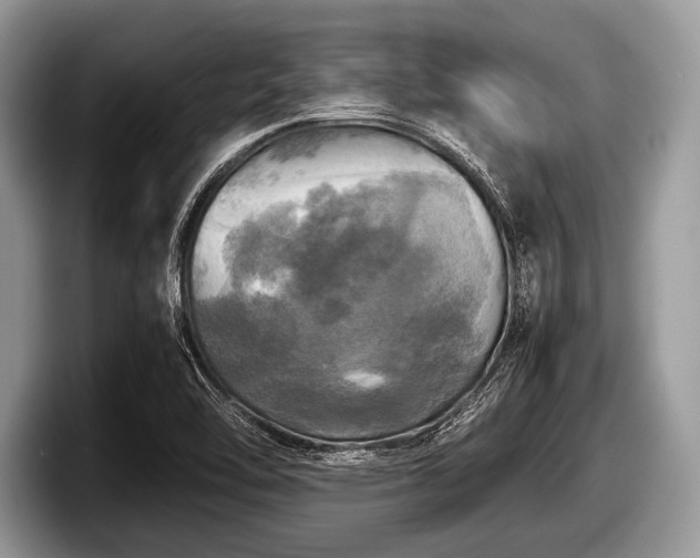 X0000097861462200803211244