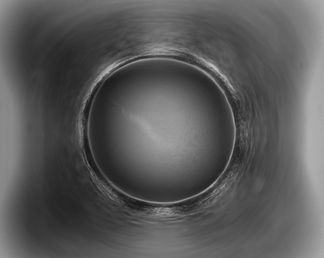 X0000097861463200803211244