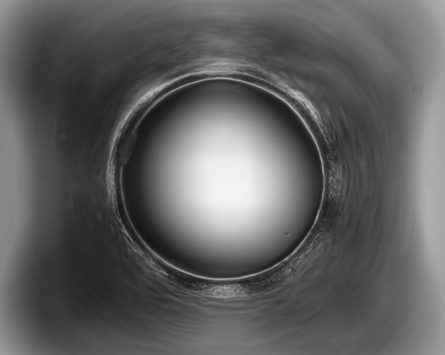 X0000097861464200803211244