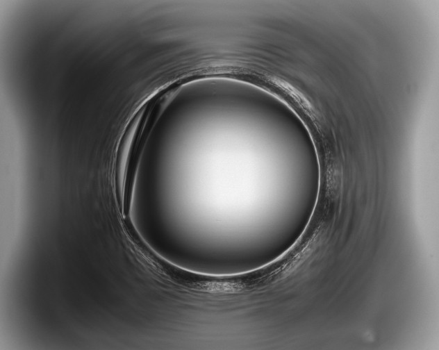 X0000097861465200803211244