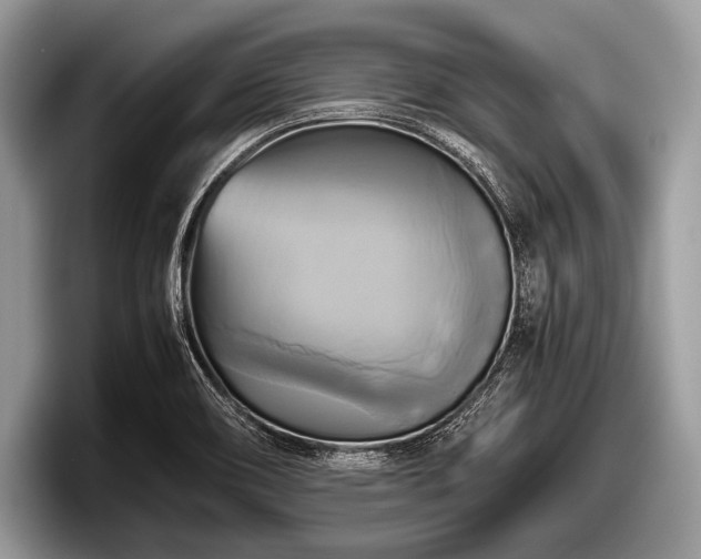 X0000097861466200803211244