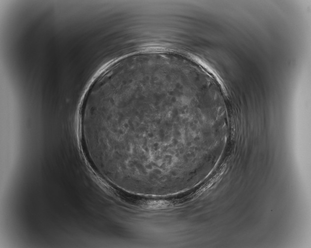 X0000097861467200803211244
