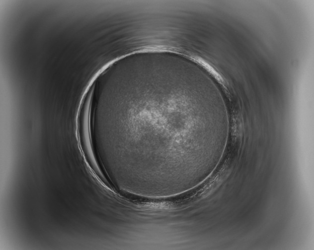 X0000097861468200803211244