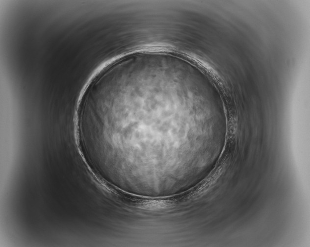 X0000097861470200803211244