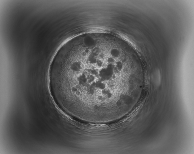 X0000097861471200803211244