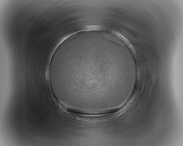 X0000097861473200803211244