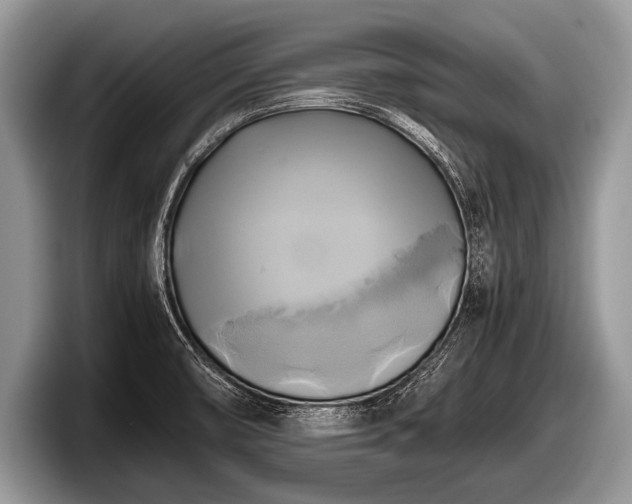 X0000097861474200803211244