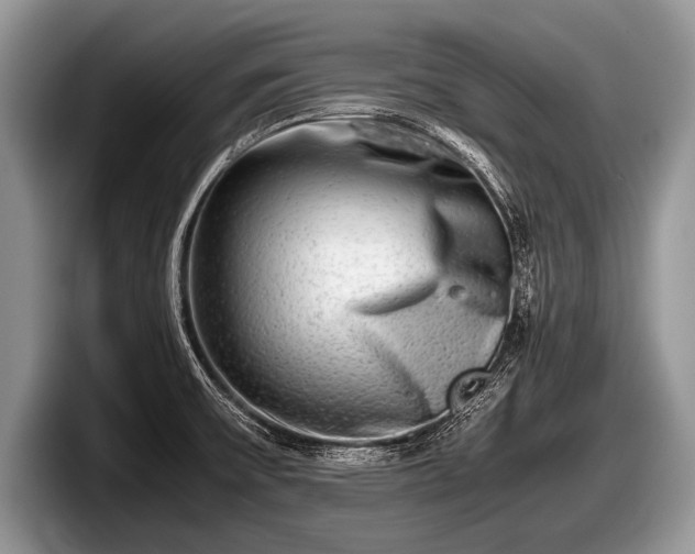 X0000097861475200803211244