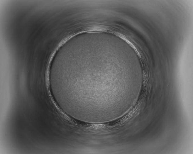 X0000097861477200803211244