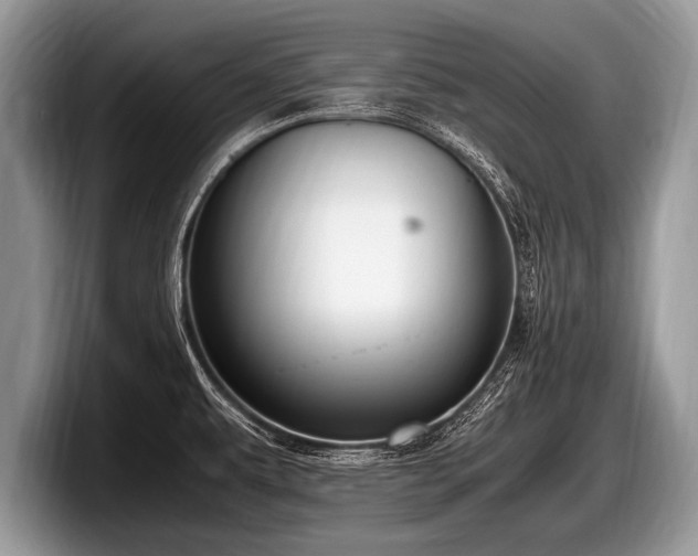 X0000097861479200803211244