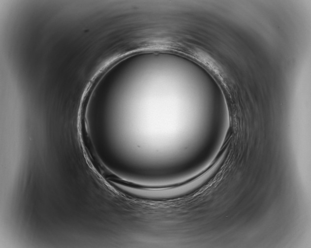 X0000097861480200803211244