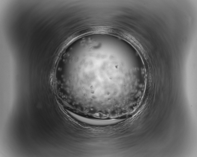 X0000097861481200803211244