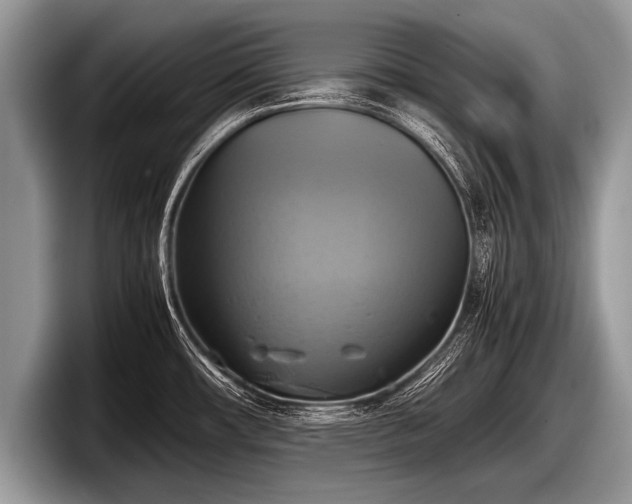 X0000097861482200803211244