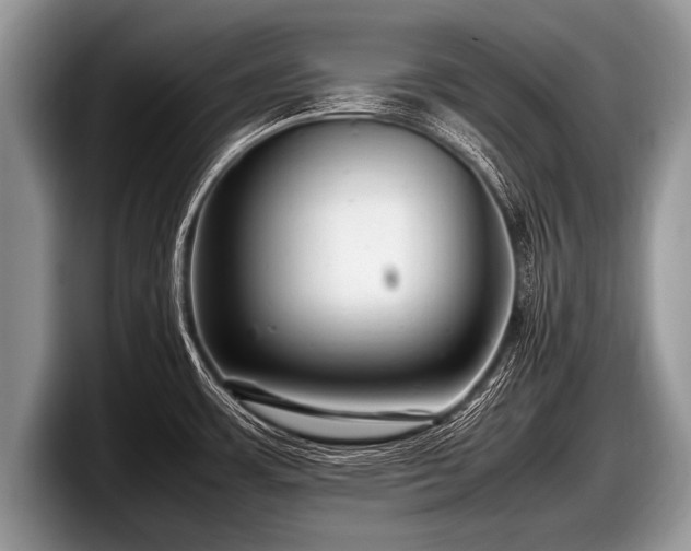 X0000097861483200803211244