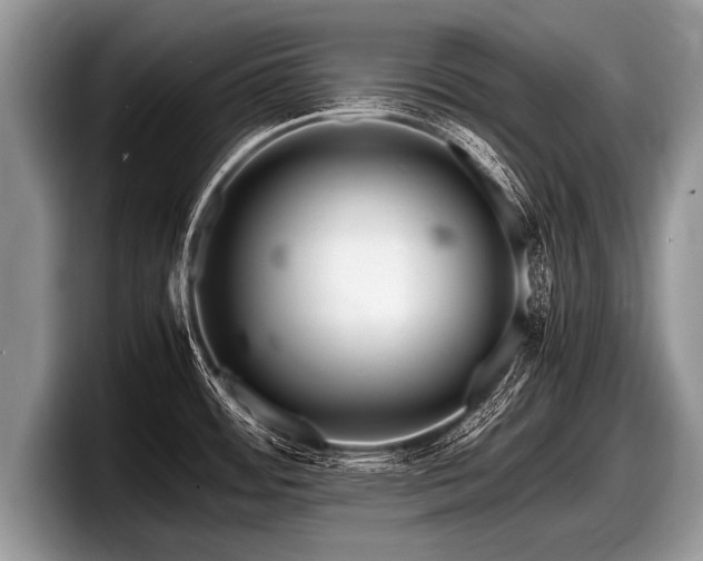 X0000097861484200803211244