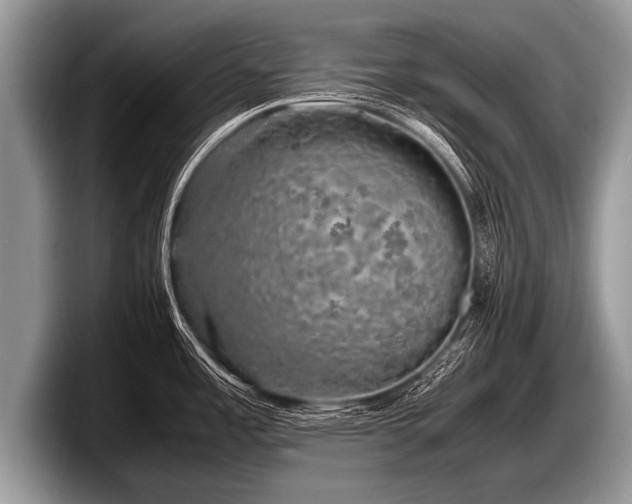 X0000097861485200803211244