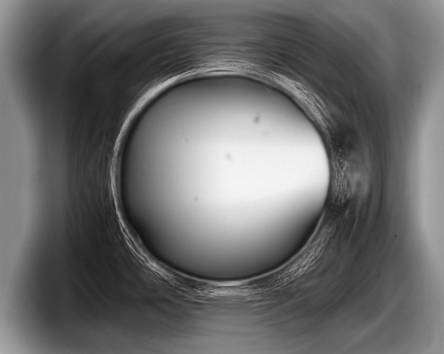 X0000097861486200803211244