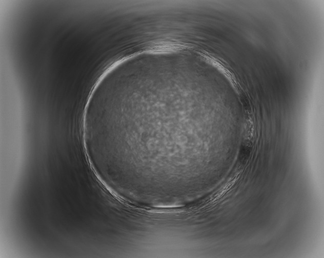 X0000097861487200803211244