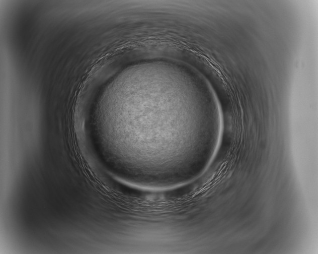 X0000097861489200803211243