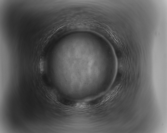 X0000097861490200803211244