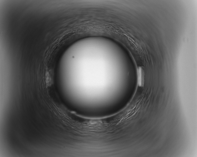 X0000097861491200803211244