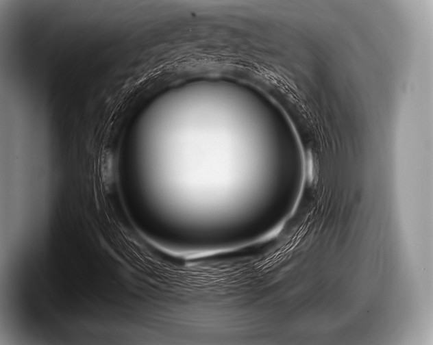 X0000097861492200803211244