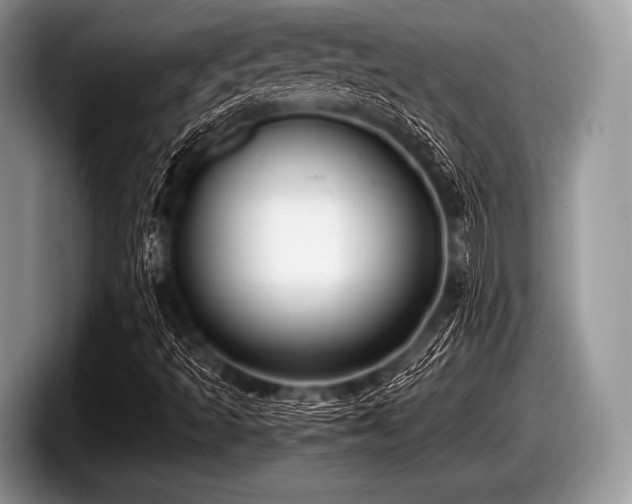 X0000097861493200803211244