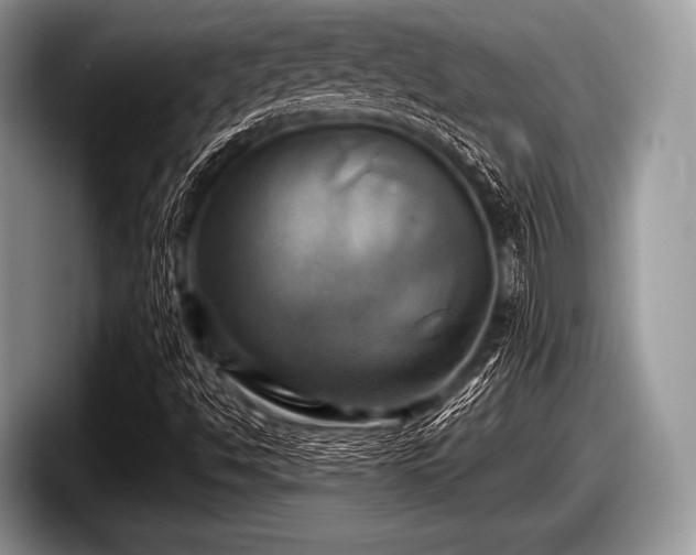 X0000097861494200803211244