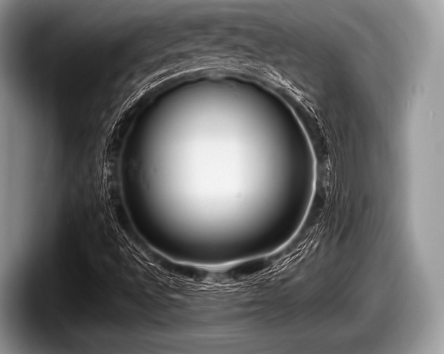 X0000097861496200803211244