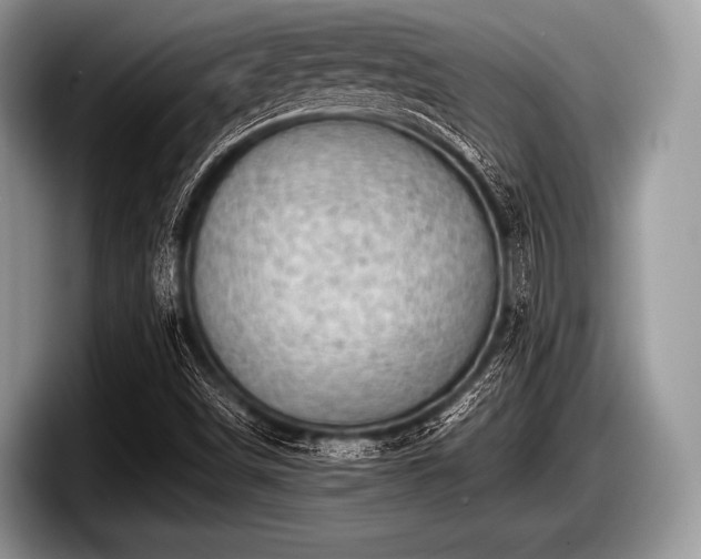 X0000097861498200803211244