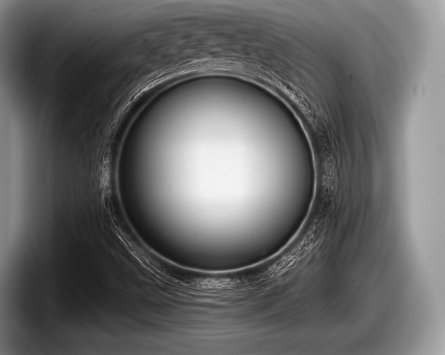 X0000097861499200803211244