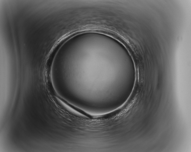 X0000097861501200803211244