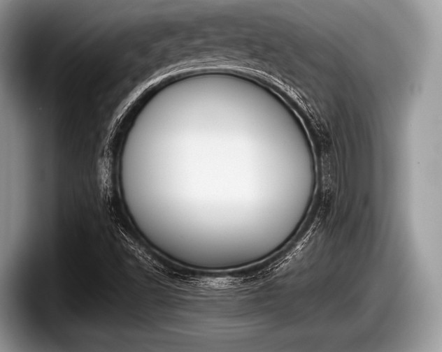 X0000097861502200803211244