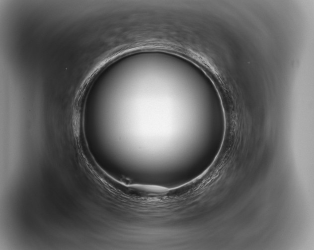 X0000097861504200803211244